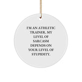 Funny Athletic Trainer Gifts, 'I'm An Athletic Trainer...' Circle Ornament, Christmas Unique Presents from Friends, Family, or Coworkers for Him or Her - Image 1
